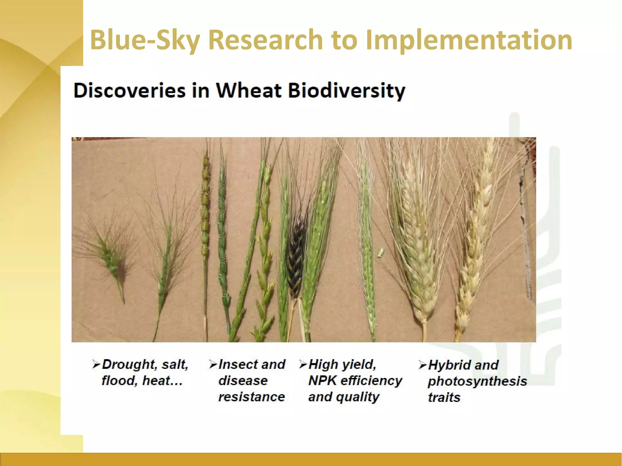 Blue-Sky Research to Implementation
 