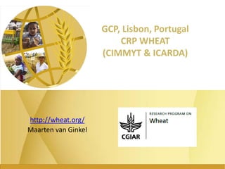 GCP, Lisbon, Portugal
CRP WHEAT
(CIMMYT & ICARDA)
http://wheat.org/
Maarten van Ginkel
 