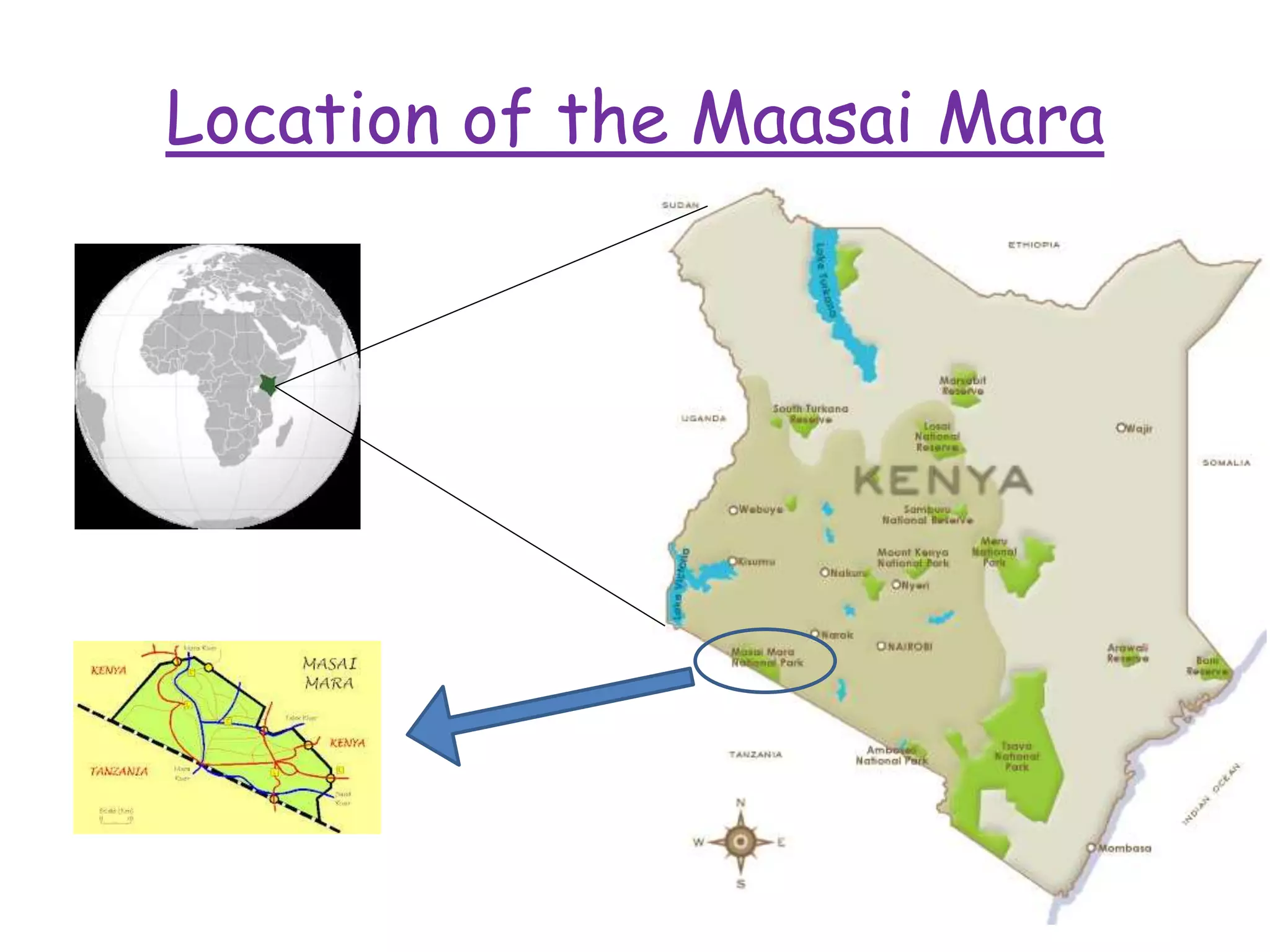 Maasai mara | PPTX