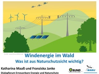 Katharina Maaß und Franziska Janke
Dialogforum Erneuerbare Energie und Naturschutz
Windenergie im Wald
Was ist aus Naturschutzsicht wichtig?
Grafik: www.kissundklein.de
 