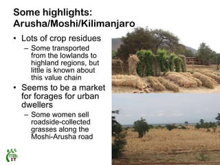 Report of a MilkIT scoping mission to Tanzania, August 2011