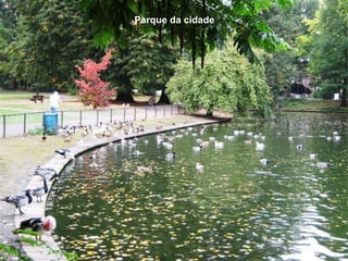 Parque da cidade




24
 