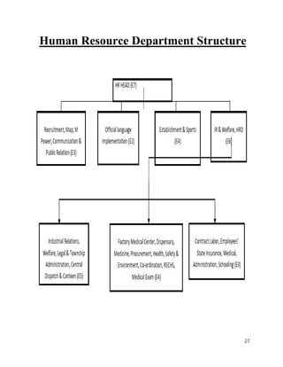 Human Resource Department Structure 
27 
 