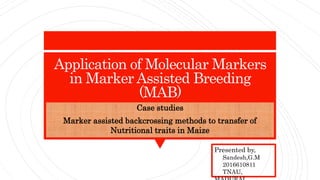 Application of Molecular Markers
in Marker Assisted Breeding
(MAB)
Case studies
Marker assisted backcrossing methods to transfer of
Nutritional traits in Maize
Presented by,
Sandesh,G.M
2016610811
TNAU,
 