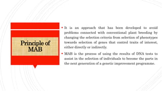 Principle of
MAB
 It is an approach that has been developed to avoid
problems connected with conventional plant breeding by
changing the selection criteria from selection of phenotypes
towards selection of genes that control traits of interest,
either directly or indirectly.
 MAB is the process of using the results of DNA tests to
assist in the selection of individuals to become the parts in
the next generation of a genetic improvement programme.
 