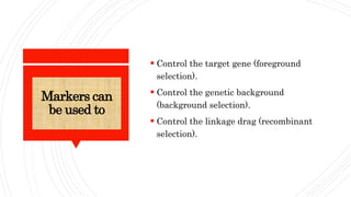 Markers can
be used to
 Control the target gene (foreground
selection).
 Control the genetic background
(background selection).
 Control the linkage drag (recombinant
selection).
 