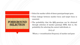 FOREGROUND
SELECTION
 Select for marker allele of donor genotype/target gene.
 Close linkage between marker locus and target locus is
essential.
 The probability that the Q/Q genotype can be obtained
through selection of marker genotype M/M, that is, the
probability for selecting the correct individuals, is
P=(1-r)2
Where, r- recombination frequency of marker and gene
 