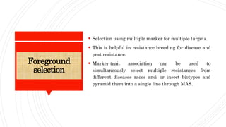 Foreground
selection
 Selection using multiple marker for multiple targets.
 This is helpful in resistance breeding for disease and
pest resistance.
 Marker-trait association can be used to
simultaneously select multiple resistances from
different diseases races and/ or insect biotypes and
pyramid them into a single line through MAS.
 