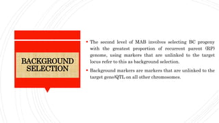 BACKGROUND
SELECTION
 The second level of MAB involves selecting BC progeny
with the greatest proportion of recurrent parent (RP)
genome, using markers that are unlinked to the target
locus refer to this as background selection.
 Background markers are markers that are unlinked to the
target gene/QTL on all other chromosomes.
 