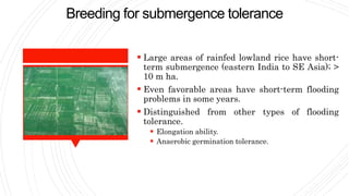 Breeding for submergence tolerance
 Large areas of rainfed lowland rice have short-
term submergence (eastern India to SE Asia); >
10 m ha.
 Even favorable areas have short-term flooding
problems in some years.
 Distinguished from other types of flooding
tolerance.
 Elongation ability.
 Anaerobic germination tolerance.
 
