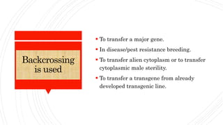 Backcrossing
is used
 To transfer a major gene.
 In disease/pest resistance breeding.
 To transfer alien cytoplasm or to transfer
cytoplasmic male sterility.
 To transfer a transgene from already
developed transgenic line.
 