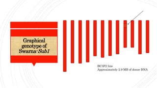 Graphical
genotype of
Swarna-Sub1
BC3F2 line
Approximately 2.9 MB of donor DNA
 