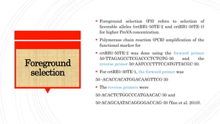 Foreground
selection
 Foreground selection (FS) refers to selection of
favorable alleles (crtRB1-50TE-2 and crtRB1-30TE-1)
for higher ProVA concentration.
 Polymerase chain reaction (PCR) amplification of the
functional marker for
 crtRB1-50TE-2 was done using the forward primer
50-TTAGAGCCTCGACCCTCTGTG-30 and the
reverse primer 50-AATCCCTTTCCATGTTACGC-30.
 For crtRB1-30TE-1, the forward primer was
50 -ACACCACATGGACAAGTTCG-30
 The reverse primers were
50-ACACTCTGGCCCATGAACAC-30 and
50-ACAGCAATACAGGGGACCAG-30 (Yan et al. 2010).
 