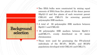 Background
selection
 Two DNA bulks were constructed by mixing equal
amounts of DNA from five plants of the donor parent
(Hp321-1) and five plants of each recurrent parent
CML161 and CML171 for screening parental
polymorphic SSR markers.
 A total of 98 polymorphic SSR markers between
Hp321-1 and CML161
 89 polymorphic SSR markers between Hp321-1
andCML171, evenly distributed on 10 maize
chromosomes
 These were used for genotyping the FS-selected
individuals of the BC1F1, BC2F1, and BC2F2
populations developed with CML161 and CML171.
 