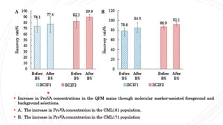  Increase in ProVA concentrations in the QPM maize through molecular marker-assisted foreground and
background selections.
 A. The increase in ProVA concentration in the CML161 population.
 B. The increase in ProVA concentration in the CML171 population
 