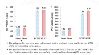  The polymorphic markers were codominant, which rendered them usable for the MAB
of the corresponding target genes.
 The results demonstrated that favorable alleles crtRB1-50TE-2 and crtRB1-30TE-1 for
high ProVA concentration were successfully transferred into the two QPM maize lines.
 
