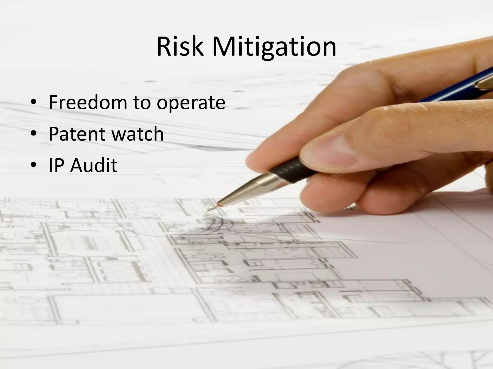 Risk MitigationFreedom to operatePatent watchIP Audit