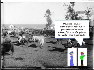Pour nos activités 
économiques, nous avons 
plusieurs ranchs. Moi-même, 
j’en ai un. On y élève 
les vaches pour leur viande. 
 