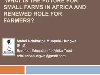 WHAT IS THE FUTURE FOR
SMALL FARMS IN AFRICA AND
RENEWED ROLE FOR
FARMERS?

Mabel Ndakaripa Munyuki-Hungwe
(PhD)
Barefoot Education for Afrika Trust
ndakaripahungwe@gmail.com

 