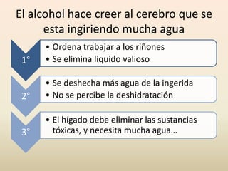 El alcohol hace creer al cerebro que se
esta ingiriendo mucha agua
1°
• Ordena trabajar a los riñones
• Se elimina liquido valioso
2°
• Se deshecha más agua de la ingerida
• No se percibe la deshidratación
3°
• El hígado debe eliminar las sustancias
tóxicas, y necesita mucha agua…
 