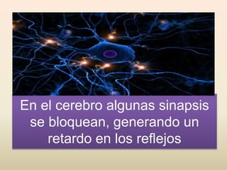 En el cerebro algunas sinapsis
se bloquean, generando un
retardo en los reflejos
 