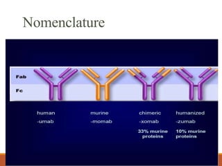 Nomenclature
 