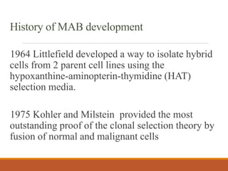 History of MAB development
1964 Littlefield developed a way to isolate hybrid
cells from 2 parent cell lines using the
hypoxanthine-aminopterin-thymidine (HAT)
selection media.
1975 Kohler and Milstein provided the most
outstanding proof of the clonal selection theory by
fusion of normal and malignant cells
 