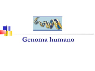 Genoma humano
 