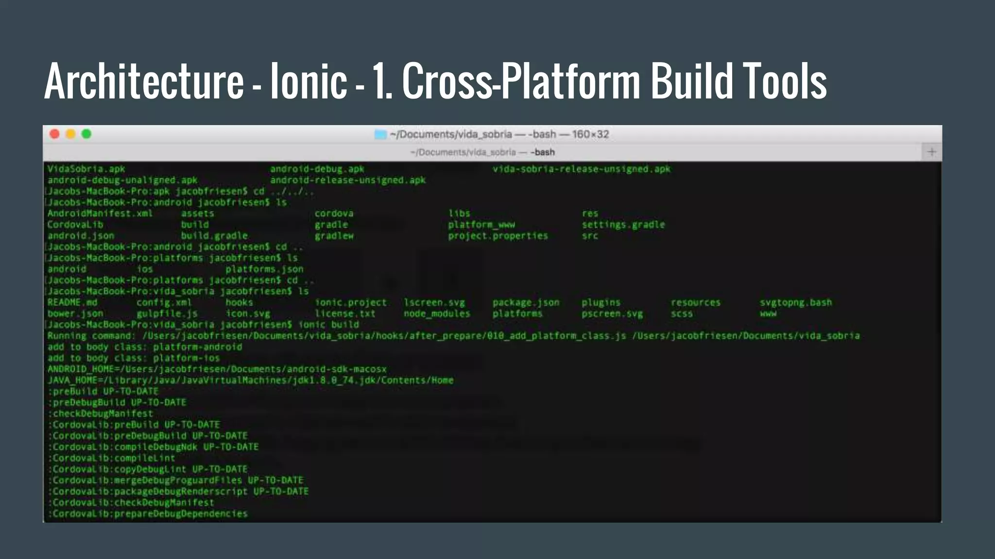 Architecture - Ionic - 1. Cross-Platform Build Tools
 