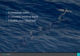 ...
» it increases sales
» it converts existing leads
» it builds your database
18
 
