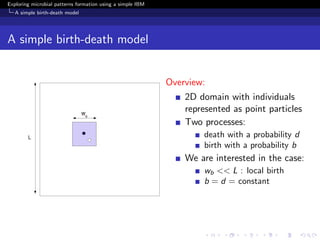 Exploring microbial patterns formation using a simple IBM
   A simple birth-death model




A simple birth-death model


                                                            Overview:
                                                                2D domain with individuals
                                                                represented as point particles
                                                                Two processes:
                                                                    death with a probability d
                                                                    birth with a probability b
                                                                We are interested in the case:
                                                                    wb << L : local birth
                                                                    b = d = constant
 