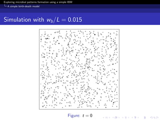 Exploring microbial patterns formation using a simple IBM
   A simple birth-death model




Simulation with wb /L = 0.015




                                                     Figure: t = 0
 