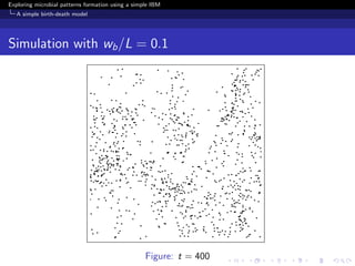 Exploring microbial patterns formation using a simple IBM
   A simple birth-death model




Simulation with wb /L = 0.1




                                                   Figure: t = 400
 