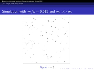 Exploring microbial patterns formation using a simple IBM
   A simple birth-death model




Simulation with wb /L = 0.015 and wd >> wb




                                                     Figure: t = 0
 
