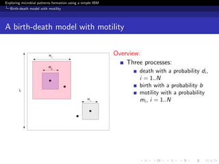 Exploring microbial patterns formation using a simple IBM
   Birth-death model with motility




A birth-death model with motility

                                                            Overview:
                                                                Three processes:
                                                                     death with a probability di ,
                                                                     i = 1..N
                                                                     birth with a probability b
                                                                     motility with a probability
                                                                     mi , i = 1..N
 