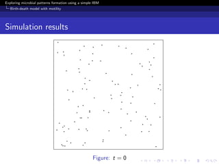 Exploring microbial patterns formation using a simple IBM
   Birth-death model with motility




Simulation results




                                                     Figure: t = 0
 