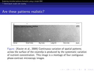Exploring microbial patterns formation using a simple IBM
   Birth-death model with motility




Are these patterns realistic?




       Figure: (Xavier et al., 2009) Continuous variation of spatial patterns
       across the surface of the coverslip is produced by the systematic variation
       of nutrient concentration. This image is a montage of four contiguous
       phase-contrast microscopy images.
 