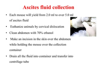 Ascites Rats monoclonal antibody production & hybridization and charecterization | PPTX