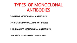 TYPES OF MONOCLONAL
ANTIBODIES
 MURINE MONOCLONAL ANTIBODIES
 CHIMERIC MONOCLONAL ANTIBODIES
 HUMANISED MONOCLONAL ANTIBODIES
 HUMAN MONOCLONAL ANTIBODIES
 