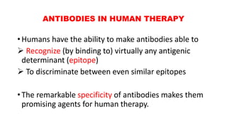 ANTIBODIES IN HUMAN THERAPY
• Humans have the ability to make antibodies able to
 Recognize (by binding to) virtually any antigenic
determinant (epitope)
 To discriminate between even similar epitopes
• The remarkable specificity of antibodies makes them
promising agents for human therapy.
 