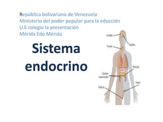 República bolivariana de Venezuela Ministerio del poder popular para la educción U.E colegio la presentación Mérida Edo Mérida  Sistema endocrino 