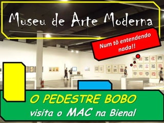 Museu de Arte Moderna Num tô entendendo nada!! O PEDESTRE BOBO  visita o MAC na Bienal 