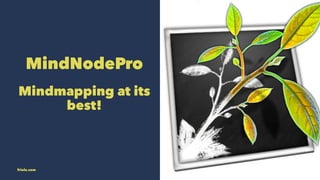 MindNodePro 
Mindmapping at its 
best! 
friolz.com 
