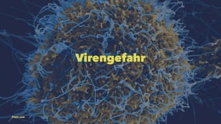 Virengefahr 
friolz.com 
 