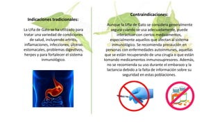 Indicaciones tradicionales:
La Uña de Gato se ha utilizado para
tratar una variedad de condiciones
de salud, incluyendo artritis,
inflamaciones, infecciones, úlceras
estomacales, problemas digestivos,
herpes y para fortalecer el sistema
inmunológico.
Contraindicaciones:
Aunque la Uña de Gato se considera generalmente
segura cuando se usa adecuadamente, puede
interactuar con ciertos medicamentos,
especialmente aquellos que afectan al sistema
inmunológico. Se recomienda precaución en
personas con enfermedades autoinmunes, aquellas
que se están recuperando de una cirugía o que están
tomando medicamentos inmunosupresores. Además,
no se recomienda su uso durante el embarazo y la
lactancia debido a la falta de información sobre su
seguridad en estas poblaciones.
 