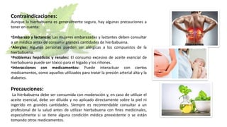 Contraindicaciones:
Aunque la hierbabuena es generalmente segura, hay algunas precauciones a
tener en cuenta:
•Embarazo y lactancia: Las mujeres embarazadas y lactantes deben consultar
a un médico antes de consumir grandes cantidades de hierbabuena.
•Alergias: Algunas personas pueden ser alérgicas a los compuestos de la
hierbabuena.
•Problemas hepáticos y renales: El consumo excesivo de aceite esencial de
hierbabuena puede ser tóxico para el hígado y los riñones.
•Interacciones con medicamentos: Puede interactuar con ciertos
medicamentos, como aquellos utilizados para tratar la presión arterial alta y la
diabetes.
Precauciones:
La hierbabuena debe ser consumida con moderación y, en caso de utilizar el
aceite esencial, debe ser diluido y no aplicado directamente sobre la piel ni
ingerido en grandes cantidades. Siempre es recomendable consultar a un
profesional de la salud antes de utilizar hierbabuena con fines medicinales,
especialmente si se tiene alguna condición médica preexistente o se están
tomando otros medicamentos.
 