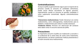 Contraindicaciones:
Aunque el palillo es generalmente seguro para la mayoría de las
personas cuando se consume en cantidades alimenticias,
puede causar efectos secundarios en algunas personas,
especialmente cuando se consume en grandes cantidades o
como suplemento concentrado. Algunas contraindicaciones
incluyen:
•Interacciones medicamentosas: Puede interactuar con ciertos
medicamentos, como anticoagulantes, medicamentos para la
diabetes y medicamentos para reducir la acidez estomacal.
•Problemas biliares: Personas con obstrucción del conducto
biliar deben evitar el consumo excesivo de palillo.
Precauciones:
Es importante consumir el palillo con moderación y consultar a
un profesional de la salud antes de usarlo como tratamiento,
especialmente si se tienen condiciones médicas preexistentes o
se están tomando otros medicamentos.
 