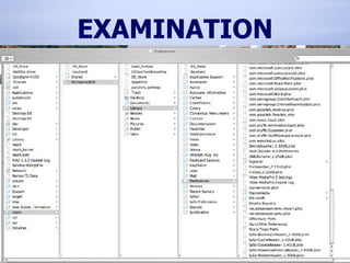 EXAMINATION 