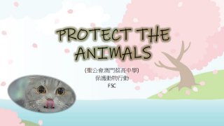 PROTECT THE
ANIMALS
(聖公會澳門蔡高中學)
保護動物行動
F5C
 