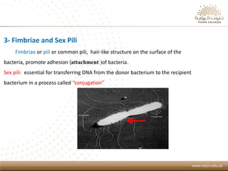Introduction of Microbiology | PDF